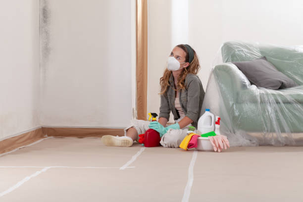 Reliable Hvac And Air Duct Mold Remediation contractor in Belleville, MI by 24 Hour Mold Removal